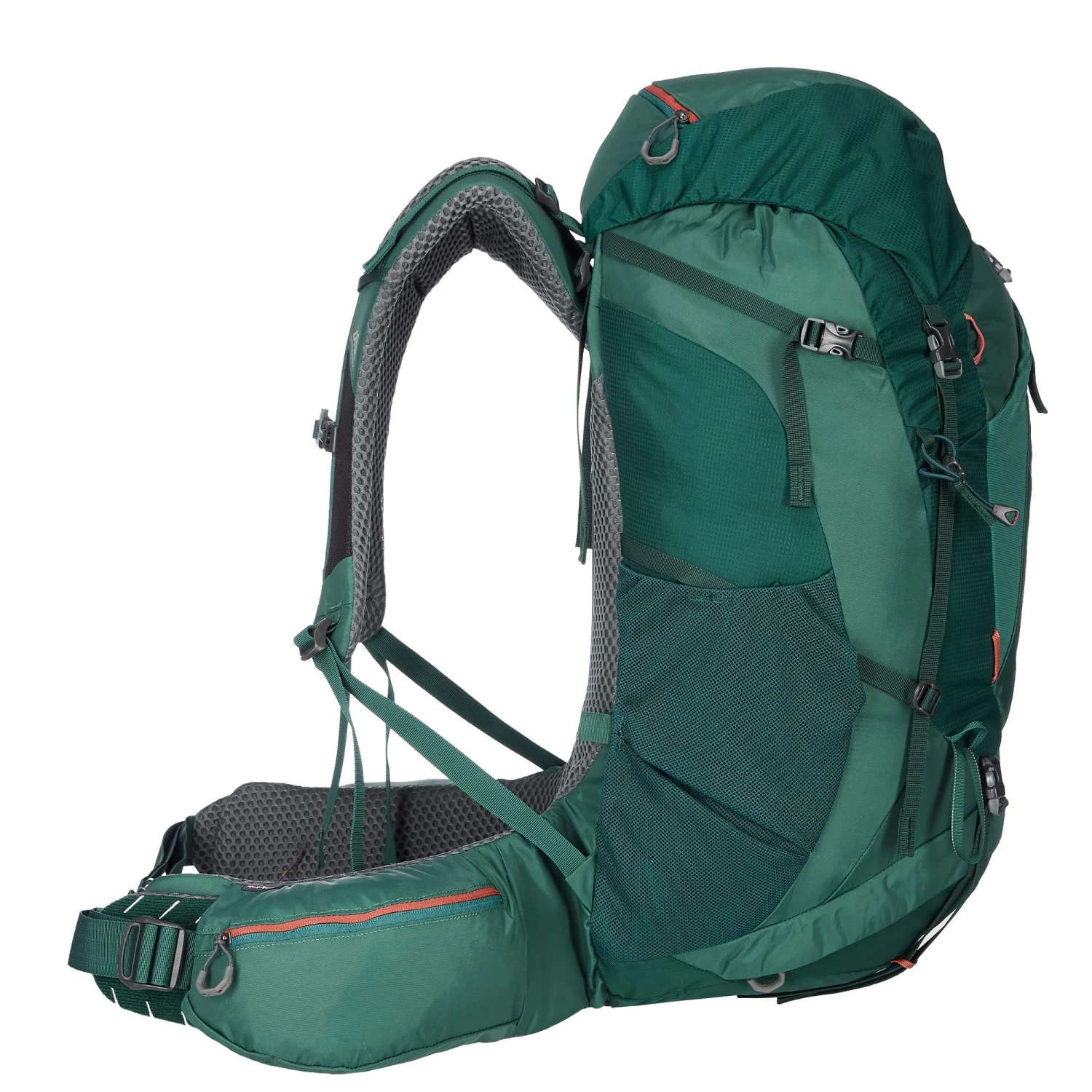 Gregory AMBER 65 PLUS Damen - Trekkingrucksack Damen - Image 2
