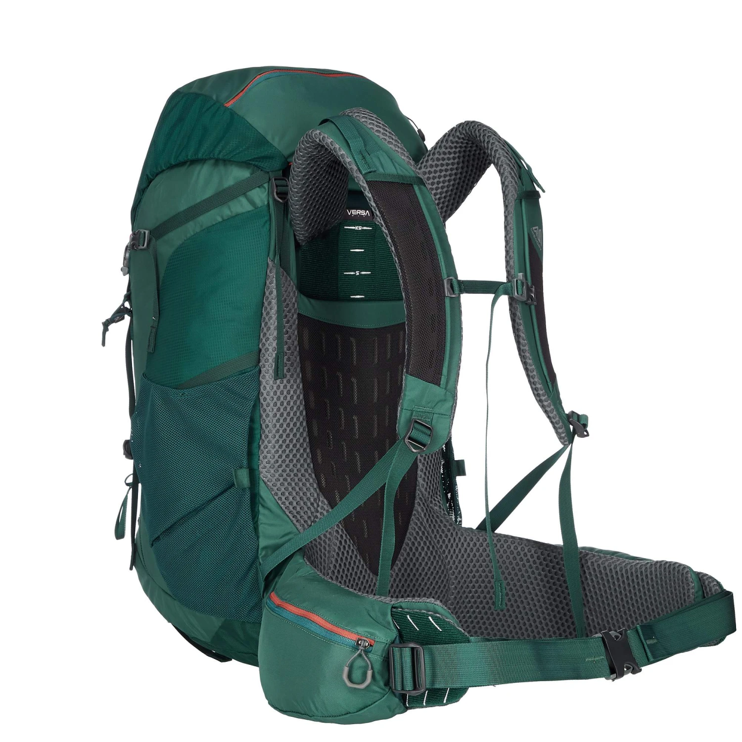 Gregory AMBER 65 PLUS Damen - Trekkingrucksack Damen - Image 4